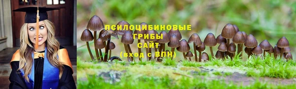 трава Кинешма